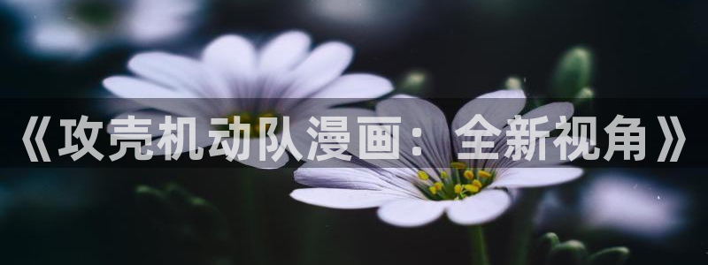 虫虫漫画主页免费漫画页面：《攻壳机动队漫画：全新视角》