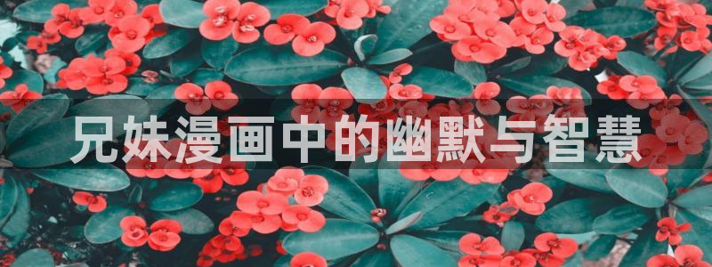 虫虫漫画下载版本：兄妹漫画中的幽默与智慧