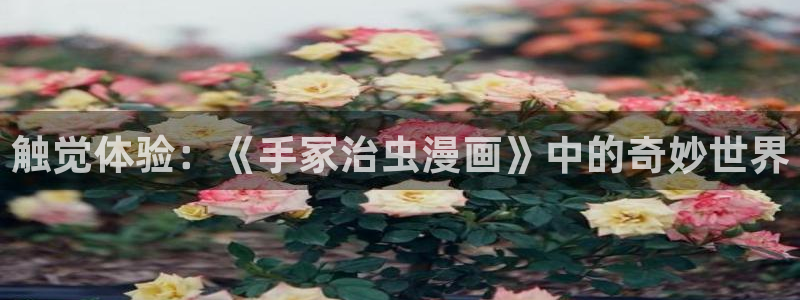 虫虫漫画网页版免费：触觉体验：《手冢治虫漫画》中的奇妙世界