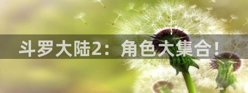 虫虫漫画免费漫画在线阅读全文：斗罗大陆2：角色大集合！